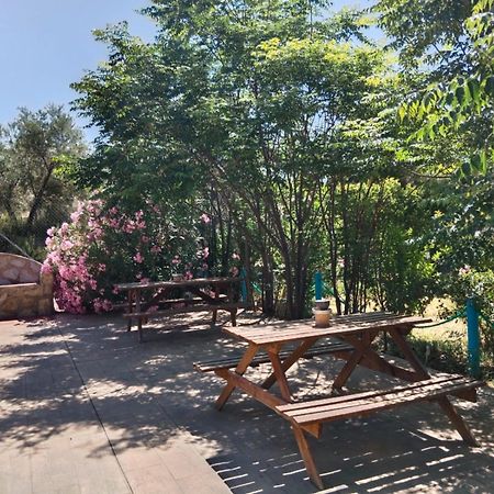 Finca Los Villegas Castril Dış mekan fotoğraf