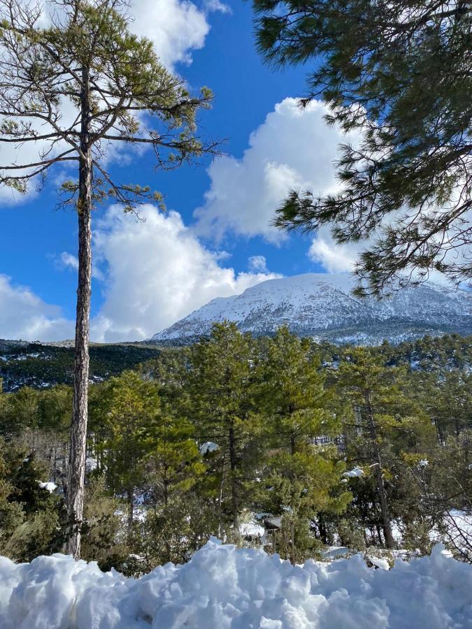 Finca Los Villegas Castril Dış mekan fotoğraf