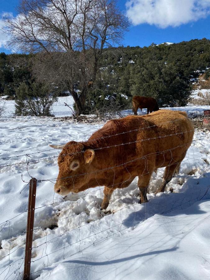 Finca Los Villegas Castril Dış mekan fotoğraf