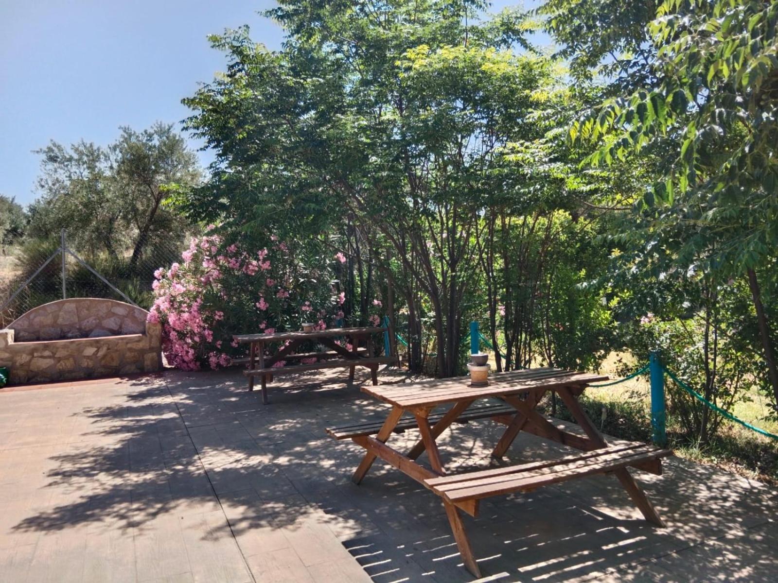 Finca Los Villegas Castril Dış mekan fotoğraf
